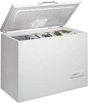 Privileg PFH 606 diepvriezer Borst Vrijstaand 312 l E Wit
