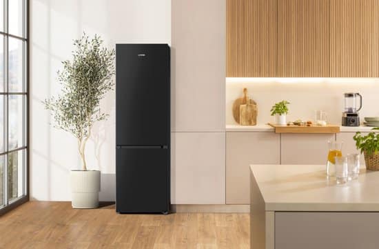 Gorenje RK418DPB4I Vrijstaand 268 l Zwart