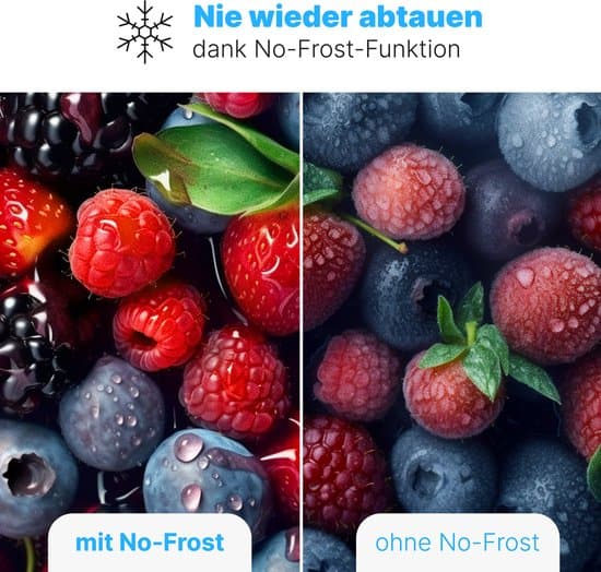 Bomann GS 7343 – Vrijstaande Vriezer – No Frost – 161 liter – Wit – Energieklasse D
