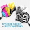 HP 305 - Inktcartridge - kleur & zwart + Instant Ink tegoed - Afbeelding 5