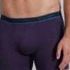 TOM TAILOR Kentucky - 2-pack heren Long Boxer - Blauw - Maat L - Afbeelding 3