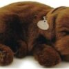 Perfect petzzz Soft labrador chocolate