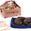 Perfect petzzz Soft labrador chocolate - Afbeelding 3