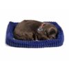 Perfect petzzz Soft labrador chocolate - Afbeelding 2