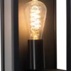 EGLO Alamonte Wandlamp Buiten - E27 - 29,5 cm - Zwart - Sensor - IP44